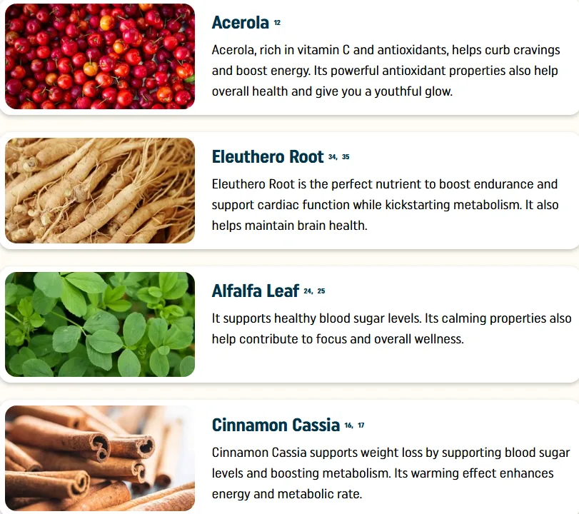 Nagano Tonic Ingredients2