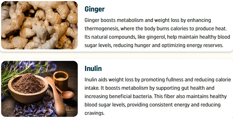 Nagano Tonic Ingredients3