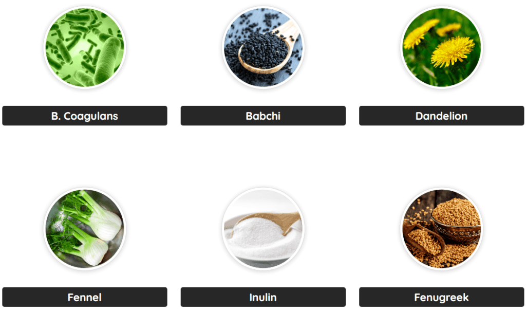 PrimeBiome Ingredients