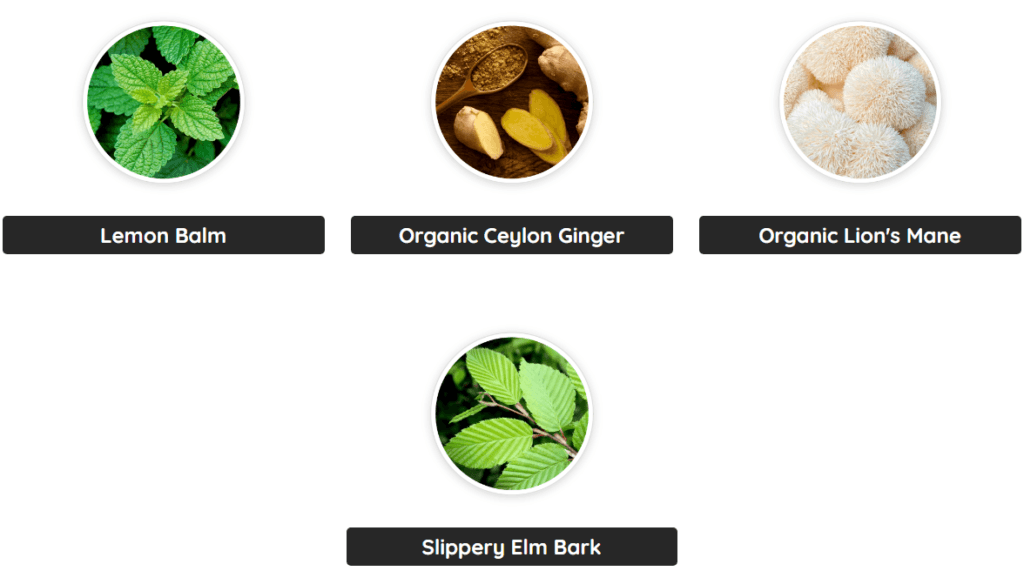 PrimeBiome Ingredients2