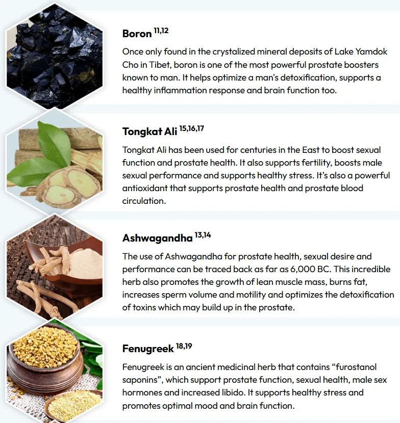 ProstaVive ingredients